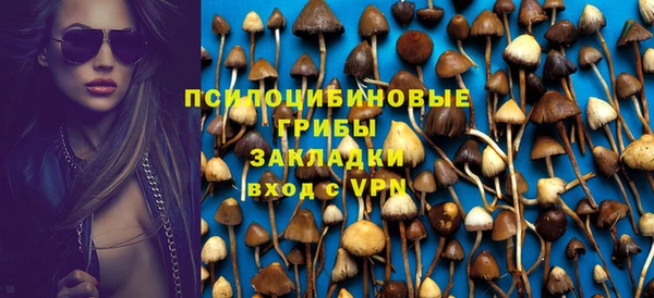 ПСИЛОЦИБИНОВЫЕ ГРИБЫ Верхнеуральск