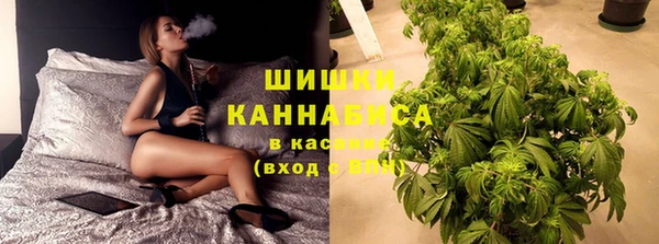 ПСИЛОЦИБИНОВЫЕ ГРИБЫ Верхнеуральск