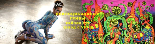 ешки Верея
