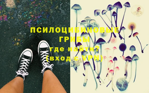 ешки Верея