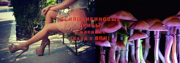 ПСИЛОЦИБИНОВЫЕ ГРИБЫ Верхнеуральск