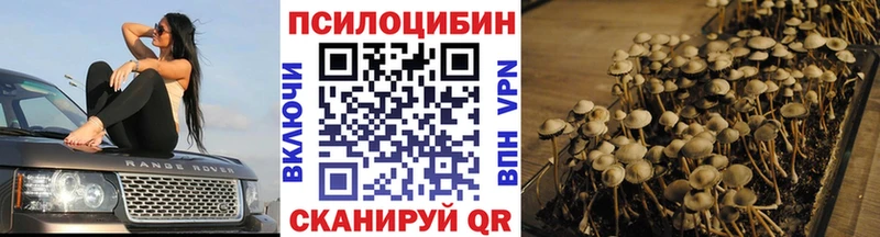 Галлюциногенные грибы Psilocybe  MEGA зеркало  Снежинск 