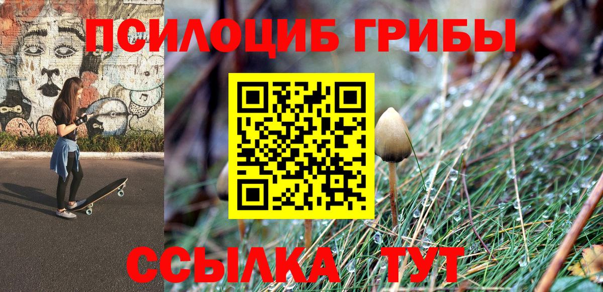 Снежинск  Галлюциногенные грибы Psilocybine cubensis  наркотики  Вход с VPN 